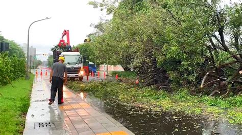 快新聞／中南部5縣市發布豪大雨特報 高雄多處樹倒、積淹水 民視新聞網