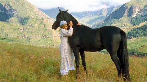 Young Black Stallion (2003) - Backdrops — The Movie Database (TMDB)