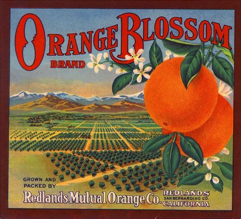 Redlands San Bernardino Orange Blossom Orange Citrus Fruit Crate Label