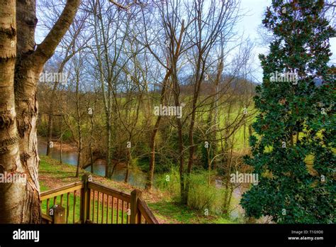 View From A Back Porch Of Leipers Fork Creek In The Village Of Leiper