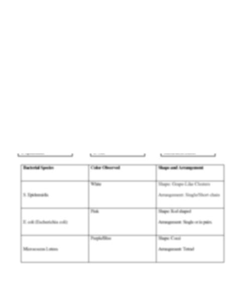 SOLUTION Lab 5 Smear And Simple Stain Lab Report Assignement Studypool