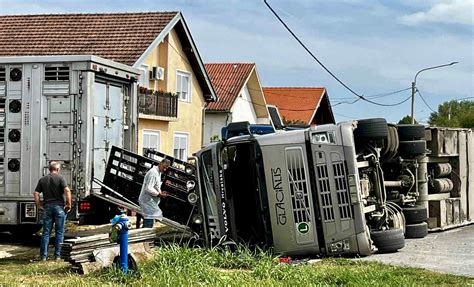 Prevrnuo Se Kamion Sa 150 Svinja U Podravskoj Moslavini Radio Donji