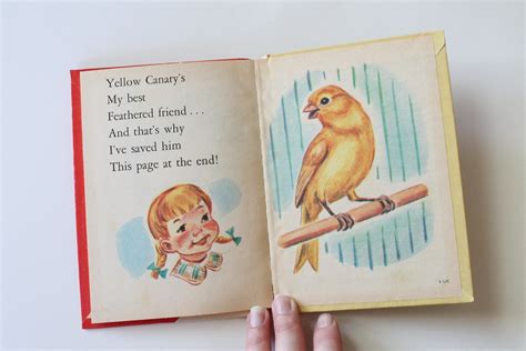 Vintage 1970s Rand Mcnally Birds Kids Book Super Cute | Etsy