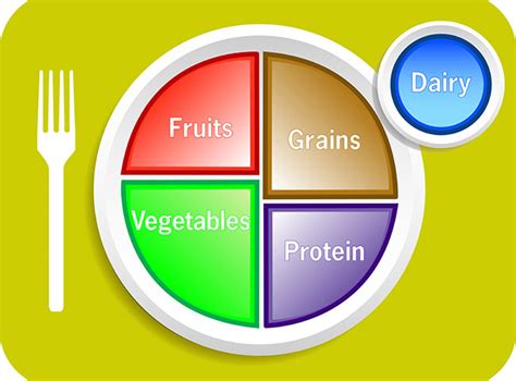 Alimentación Saludable ¿qué Es El Plato De Harvard