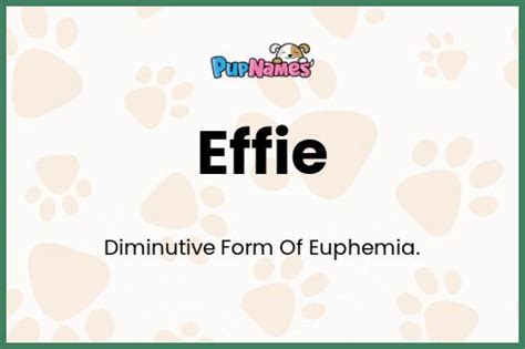 Effie 🐶 - Dog Name Meaning & Popularity | PupNames.com™