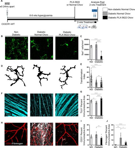 PLX 5622 Treatment Prevents Neurodegeneration And Vascular Damage In