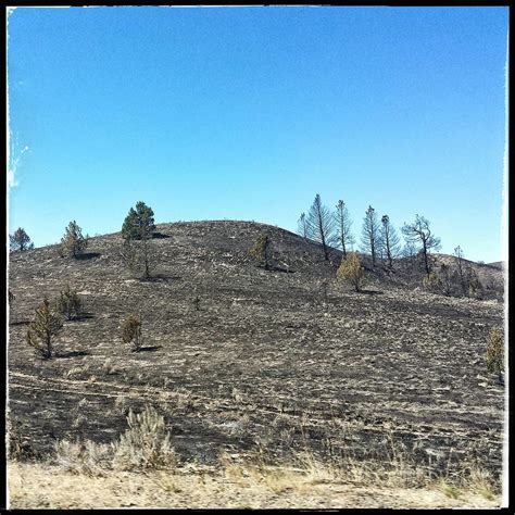 Recent Prairie Fire Nitya Jesse Eisenheim Flickr