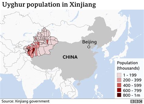 Cosa Dicono I Xinjiang Police Files Sulla Detenzione Degli Uiguri In Cina