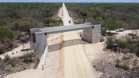 La Construcci N Del Tren Maya Siembra La Incertidumbre En Yucat N El