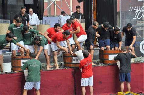 Vendimia Curicó 2024 Tren del Recuerdo tendrá viaje hacia la fiesta