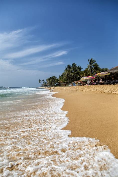 Hikkaduwa Beach In Sri Lanka Editorial Photo - Image of beach, coconut ...