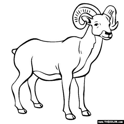 Ram Coloring Page Animal Coloring Pages Animal Coloring Books