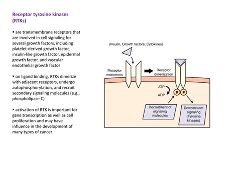 Systemic Inflammatory Response Syndrome Sirs Ppt