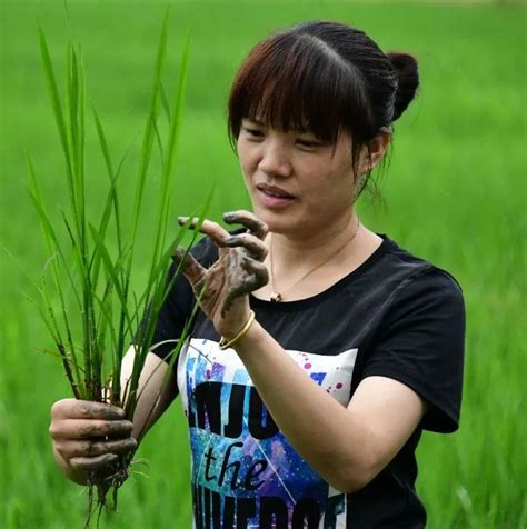 我在窗口写青春丨新青年故事⑨——开拖拉机的浙大姑娘 广袤田地追逐梦想澎湃号·政务澎湃新闻 The Paper