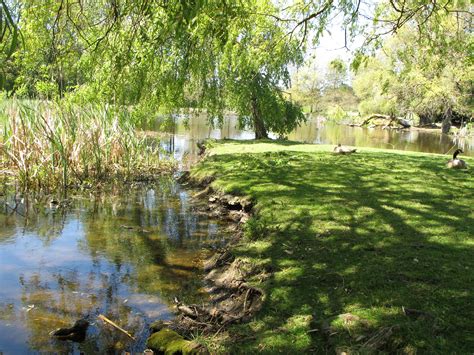 Freshwater Pond Study Ingridscienceca