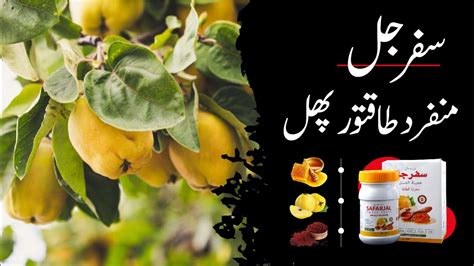 Murabba Bahi Safar Jal Safarjal Honey Paste Pure Organics