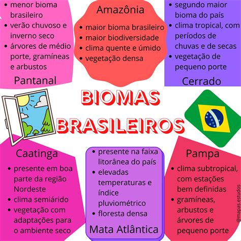 Mapas Mentais Sobre Biomas Brasileiros Study Maps