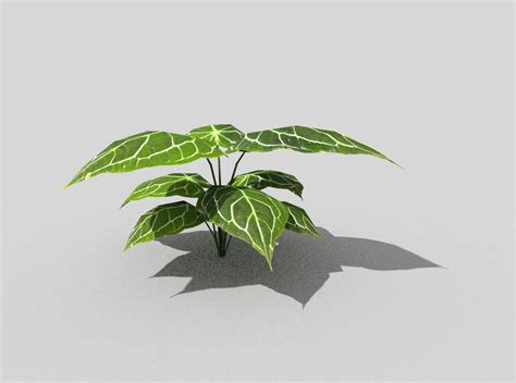 3d Model Low Poly Tropical Foliage Vr Ar Low Poly Cgtrader