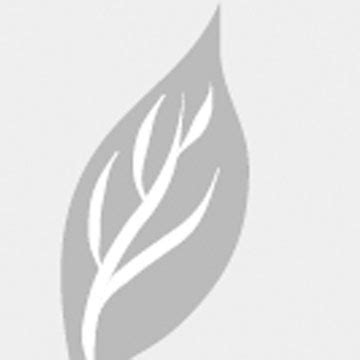 leaf classification nasa science