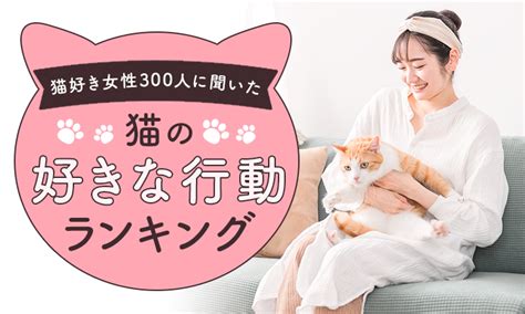 【全国の猫好き女性300人に聞いた】猫の好きな行動ランキング！ Qrasippo（クラシッポ）