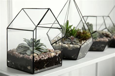 Glass Florarium Vases With Succulents On White Table Indoors Space For