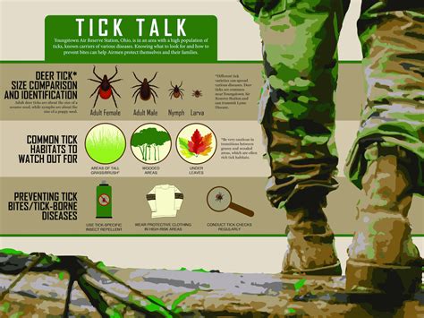 Tick Talk Air Force Safety Center Article Display