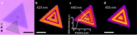 Optical And Second Harmonic Imaging Of A Mose 2 Wse 2 Based Monolayer