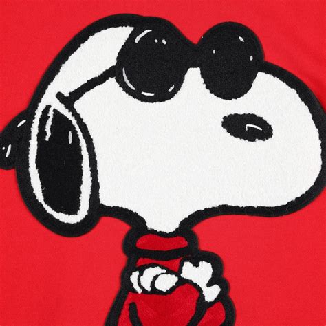 Snoopy Joe Cool