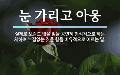 속담 눈 가리고 아웅