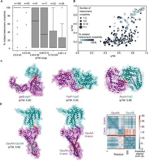 Crosslinking MS Validation Of AlphaFold Multimer Models A Percentage Of