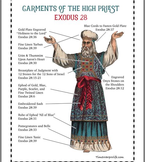 Pin by Julie Bell on Sunday school | Bible study exodus, Bible study ...