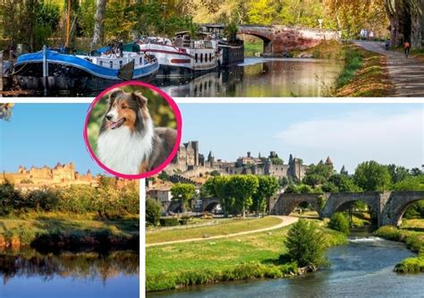 Descubre El Encanto Del Canal Du Midi En Un Paseo En Barco A Carcasona