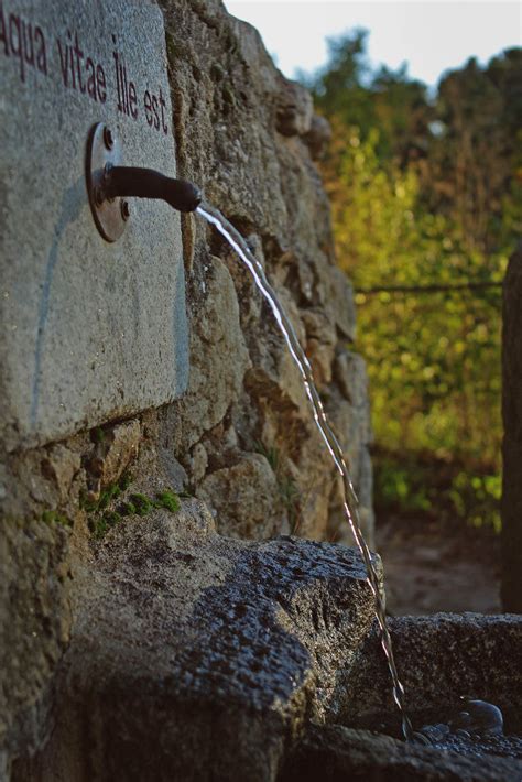 springbrunnen creative commons bilder