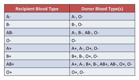 Nur Sci 112LB Lecture 6 EKGs Blood Admin Restraints Flashcards Quizlet