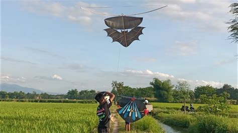 Menerbangkan Layangan Gapangan Kelelawar Dan Babon Anggrem Suara Wooor