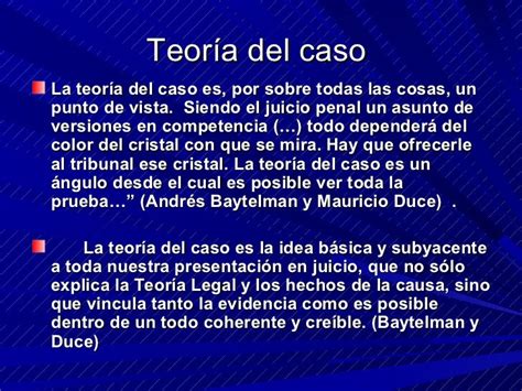 Litigación Oral Teoría Del Caso