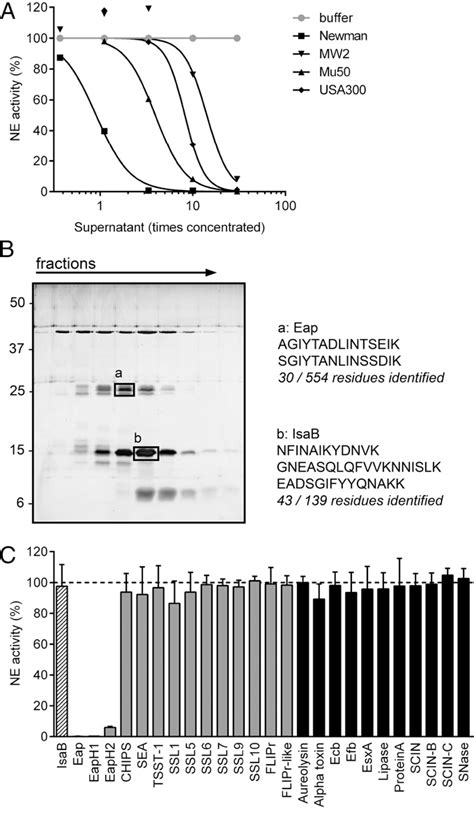 Figure From Staphylococcus Aureus Secretes A Unique Class Of