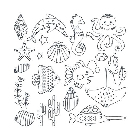 Premium Vector Set Of Marine Elements Of Fish Shells Seaweed In Flat