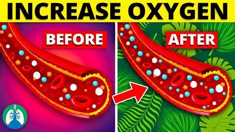 Top Natural Ways To Increase Blood Oxygen Levels Youtube