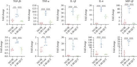 Quercetin Inhibits Ir Induced Nf κb Activation And Proinflammatory