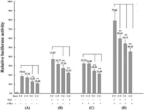 Haplotype Effect Of Variants Rs2735940 And Rs2853669 On The Promoter