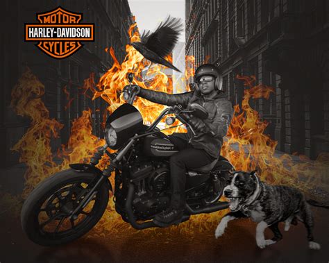 Harley Davidson Poster Behance