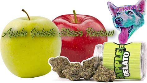 Apple Gelato Strain Review Youtube