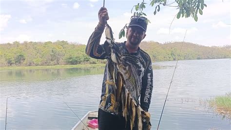 Tucunaré piranha mandi piau pacu e muitos outros Esse lago é bom