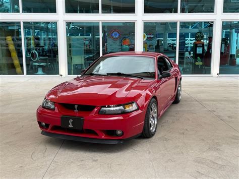 1999 Ford Mustang Svt Cobra American Muscle Carz