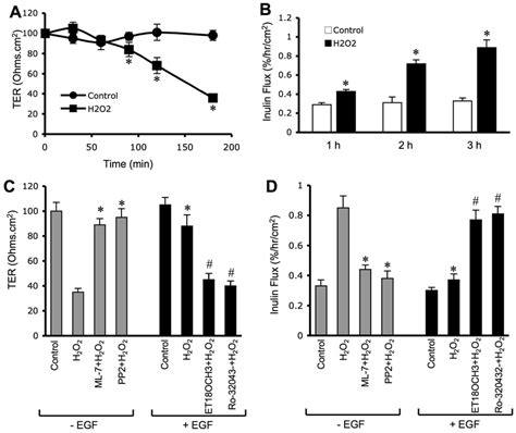 Hydrogen Peroxide Disrupts Barrier Function And EGF Prevents This