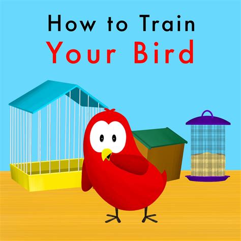 How to Train Your Bird (Sammy Bird) by V. Moua | Goodreads