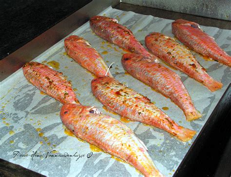 Comment cuisiner le poisson à la plancha Recettes et Cuisine à la