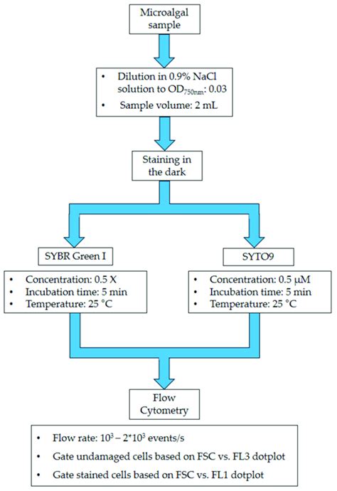 Schematic Representation Of The Validated Protocols Download Scientific Diagram