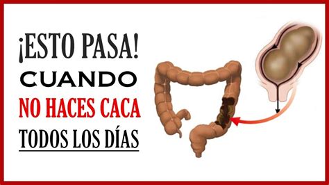 10 Cosas Que Le Suceden A Tu Cuerpo Cuando No Haces Caca Todos Los Días